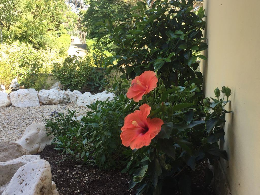 Villa Gusto E Benessere Sacrofano Dış mekan fotoğraf